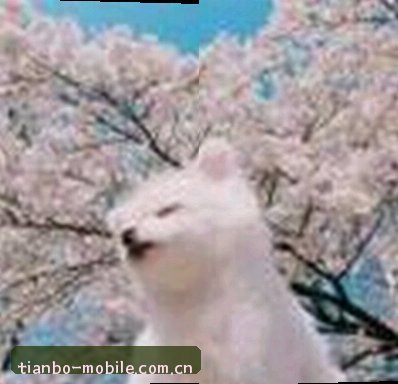 周杰